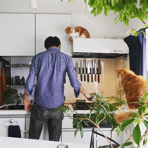 junskitchen divorce|1 year in our new house! .